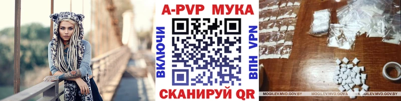 Альфа ПВП СК КРИС  Благодарный 