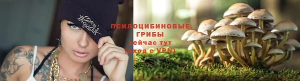 spice Абинск