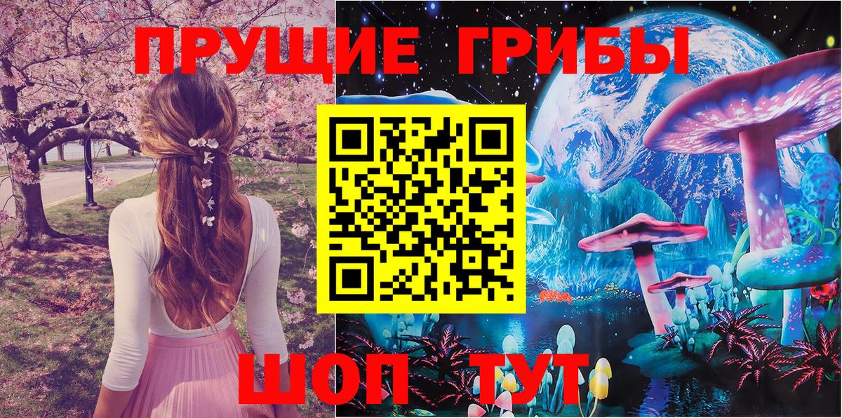 Благодарный  Галлюциногенные грибы GOLDEN TEACHER  Галлюциногенные грибы Cubensis  Вход с VPN 