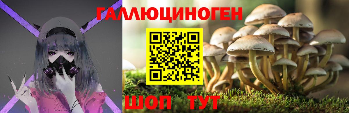 Псилоцибиновые грибы Psilocybine cubensis Благодарный